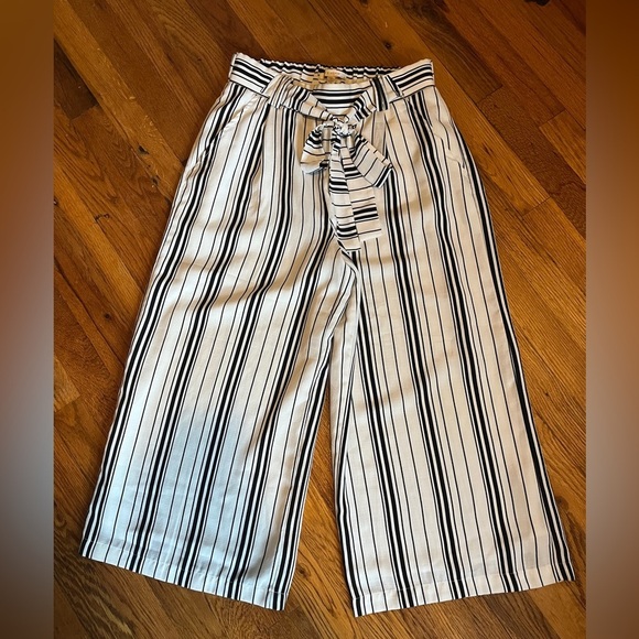 Skies Are Blue Pants - Skies Are Blue Black and White Striped Pants